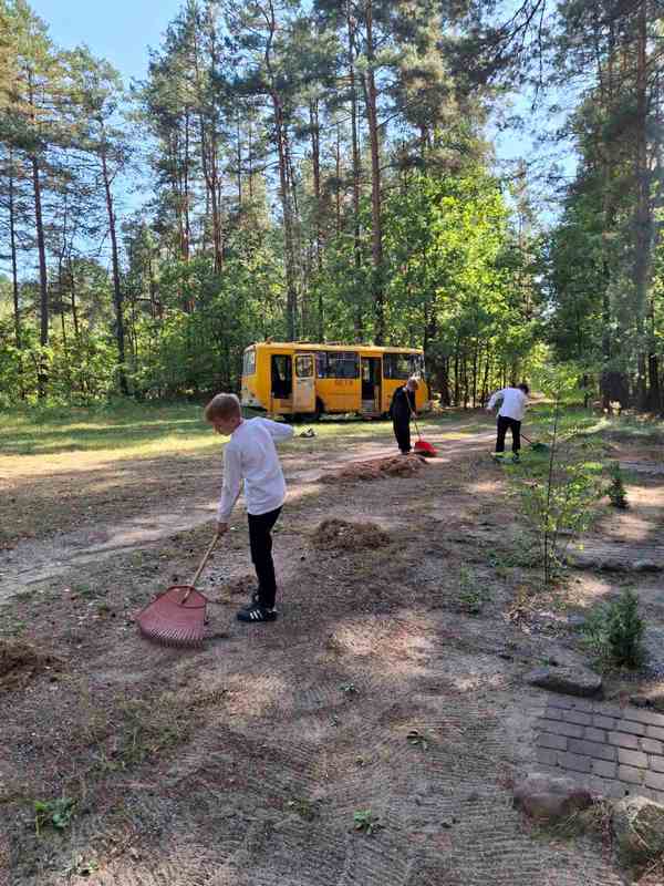 ГУО "Средняя школа г.п.Домачево"